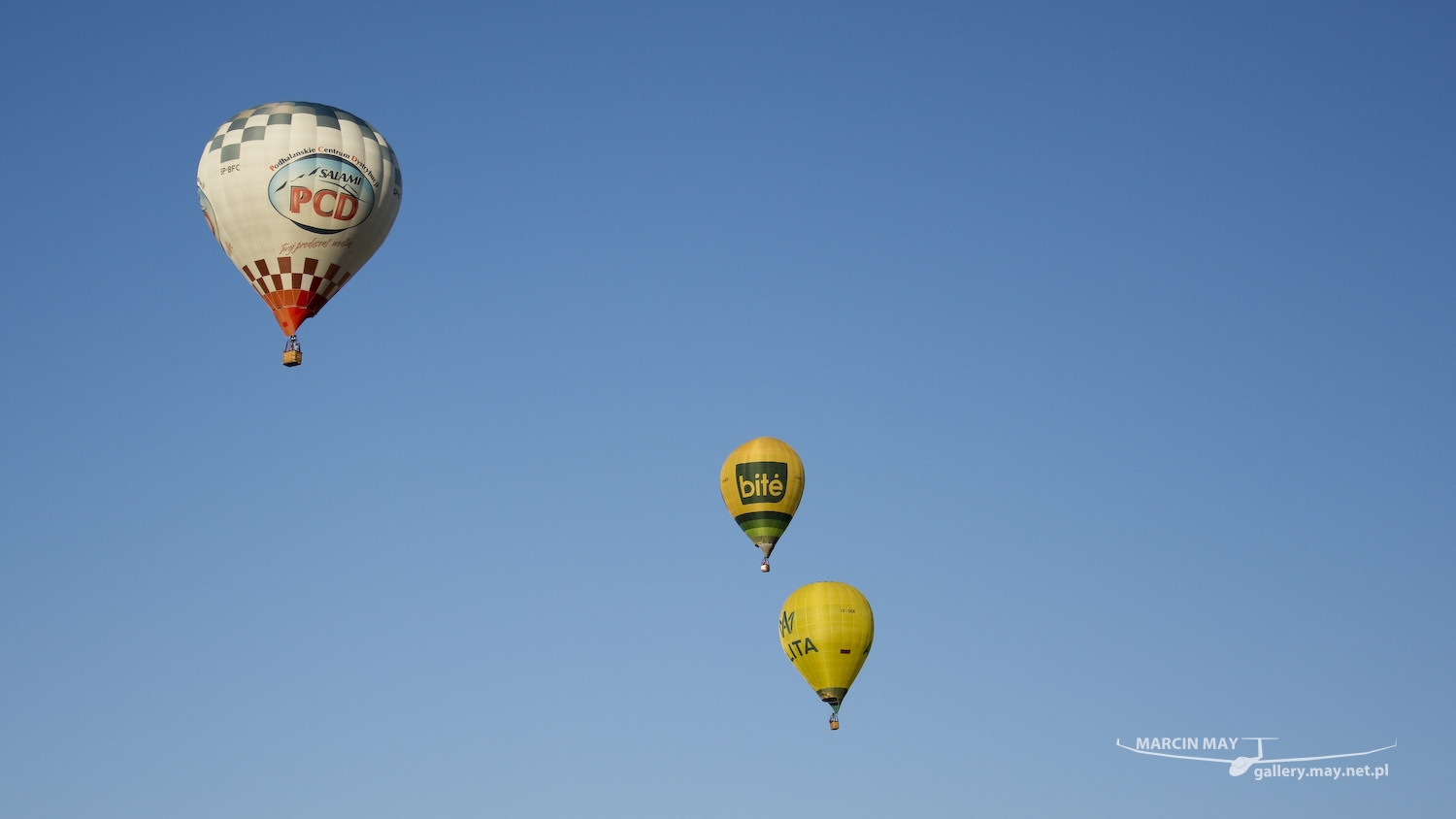 Leszno_Balloon_Cup_2016-DSC_9145-021