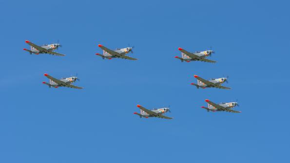 23BLT_Minsk_Mazowiecki_2017-zdj020-DSC_1831