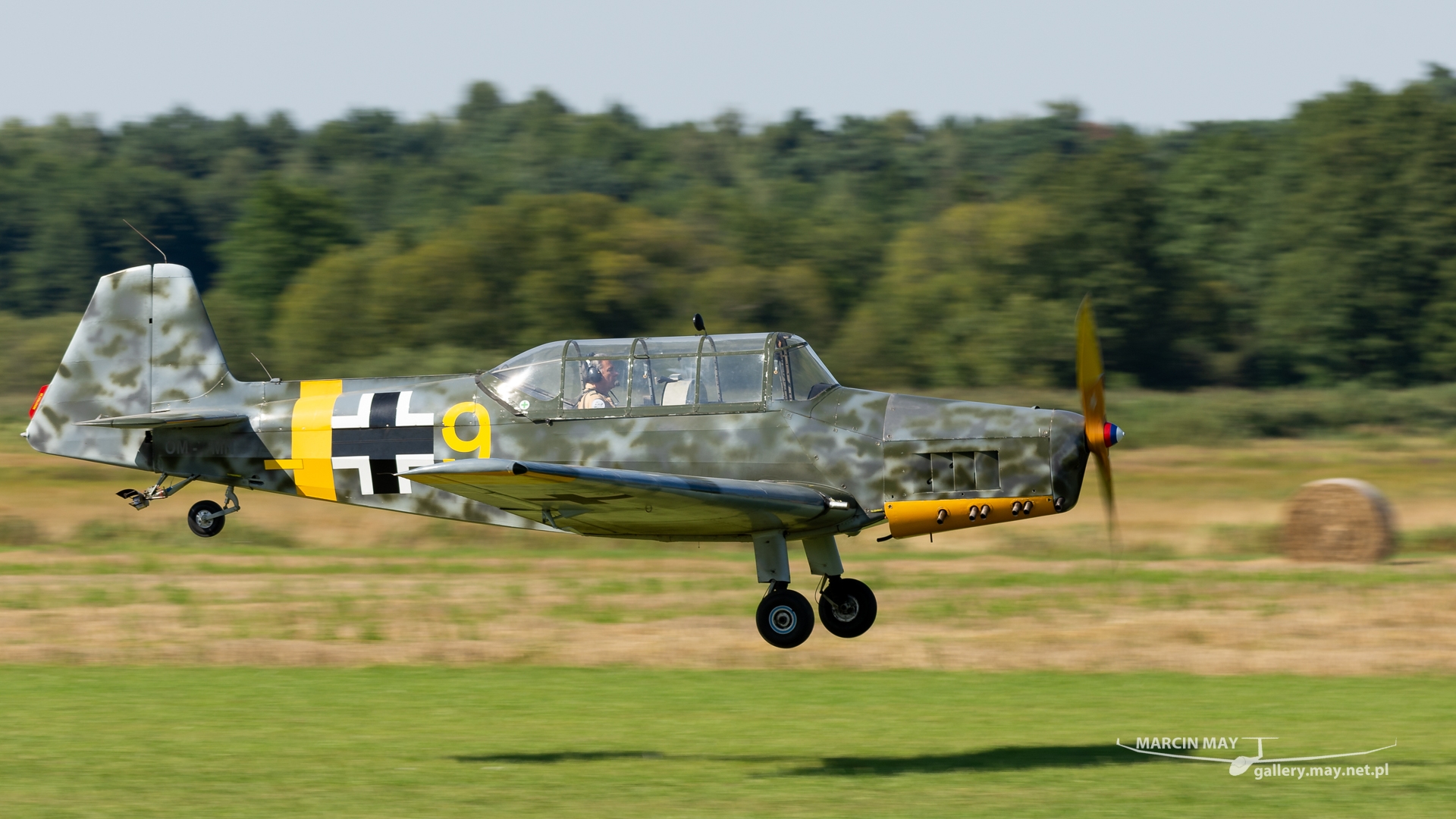 2KrolewskiPiknikLotniczy2023_DSC_0208