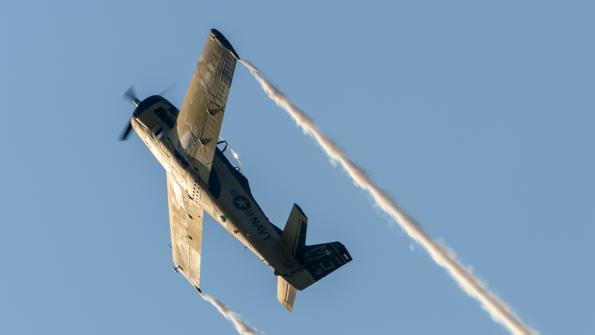 Antidotum_Airshow_2021-zdj105-DSC_9375