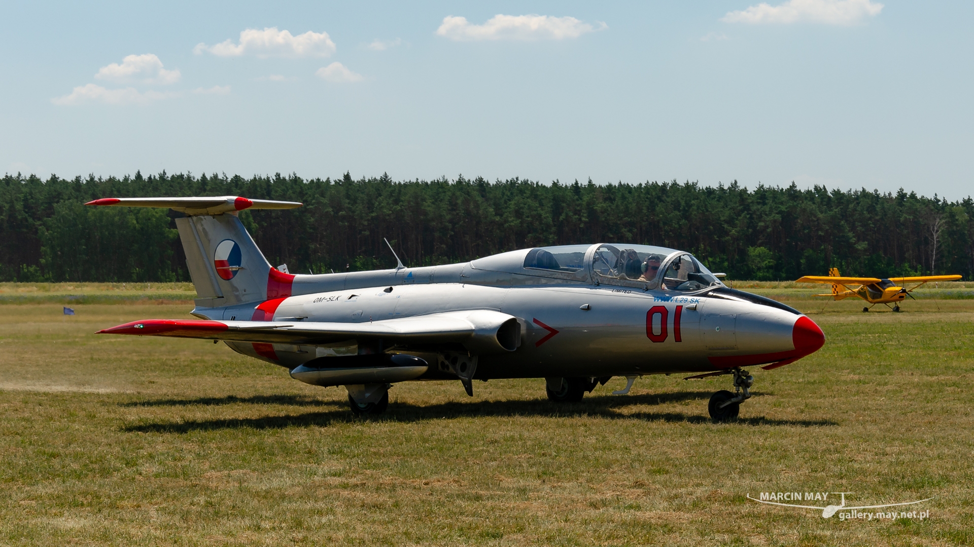 Antidotum_Airshow_2021-zdj244-DSC_7981