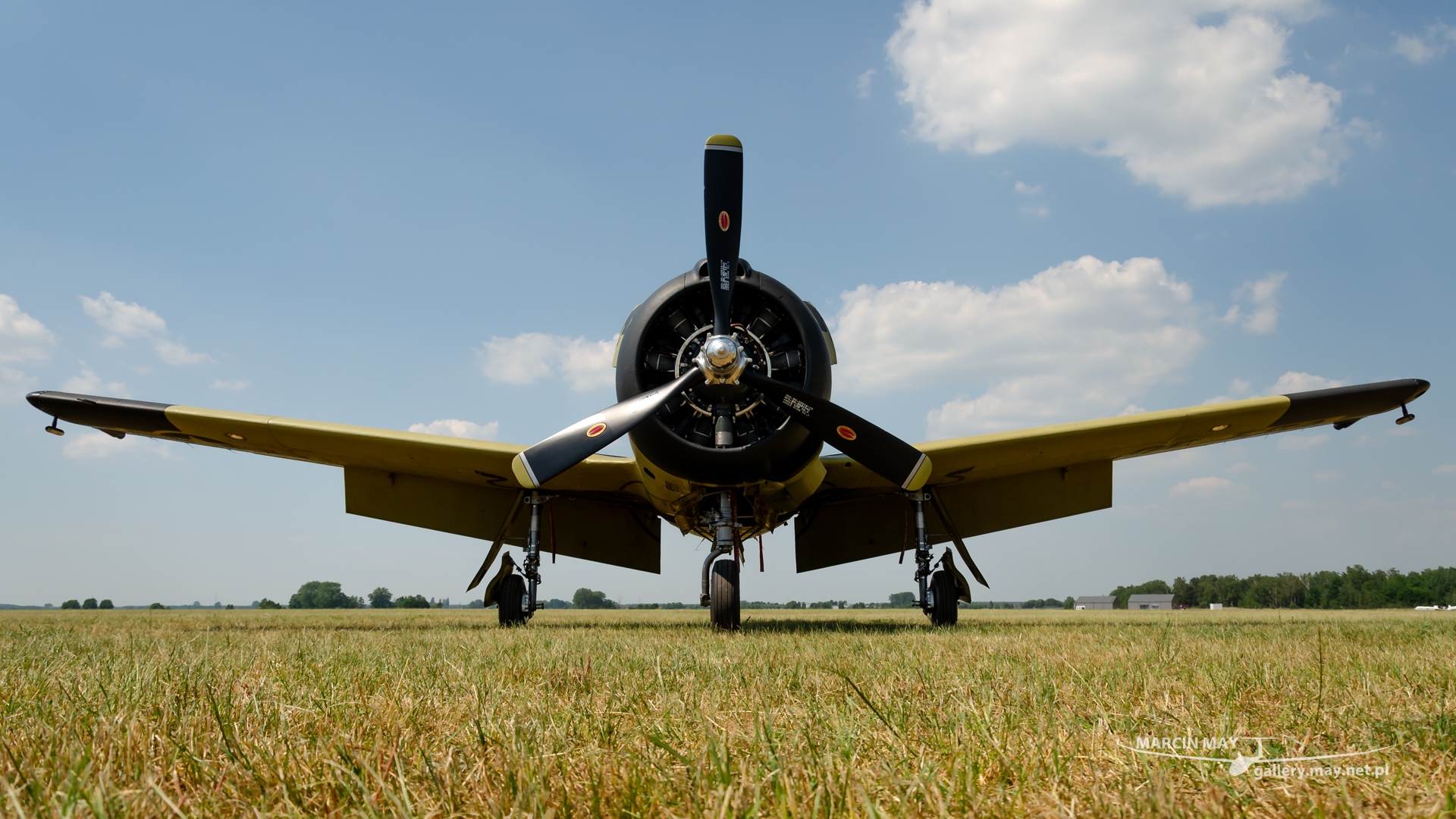 Antidotum_Airshow_2021-zdj262-DSC_9268