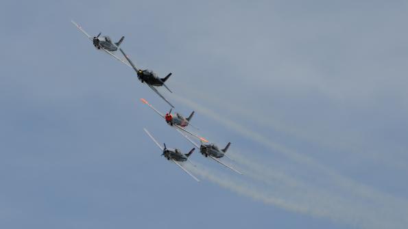 CIAF2015_zdj-070-DSC_0297