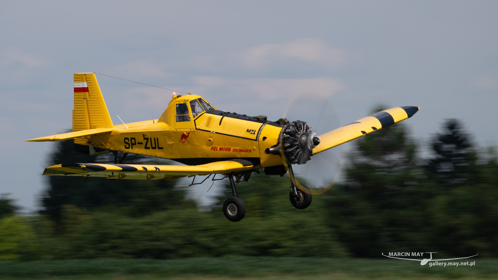 fly_fest_2024-zdj017-DSC_7693