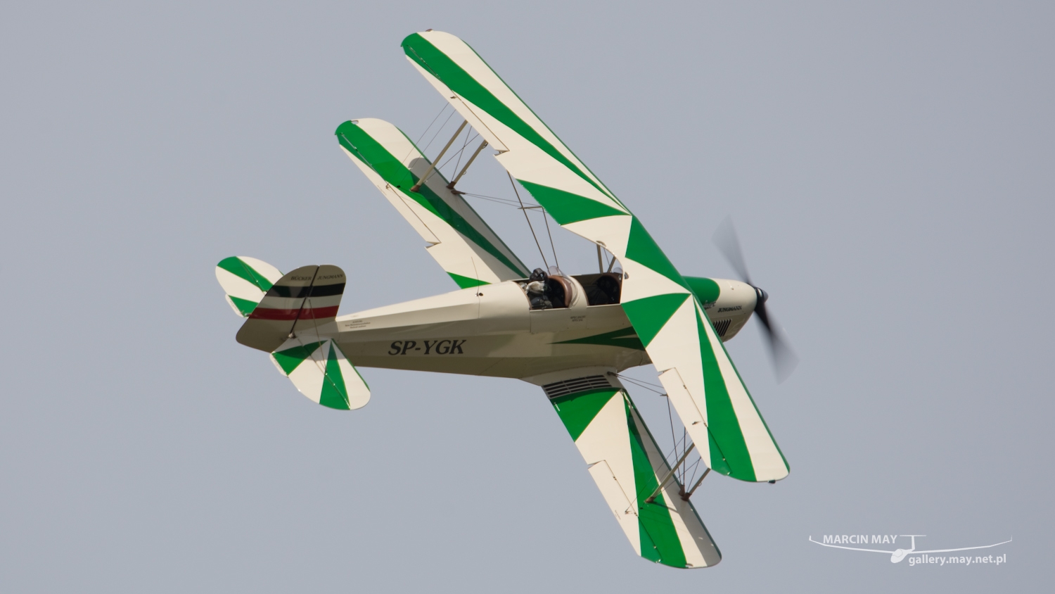 piknik-krakow-2016_zdj-103-DSC_9389