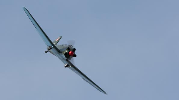 piknik-krakow-2016_zdj-108-DSC_9491