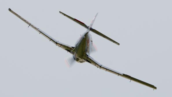 piknik-krakow-2016_zdj-115-DSC_9682