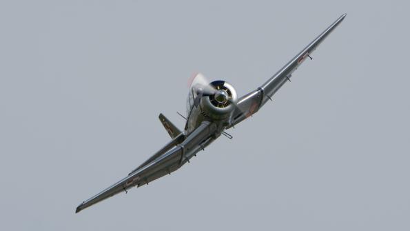 piknik-krakow-2016_zdj-116-DSC_9696