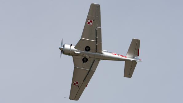 piknik-krakow-2016_zdj-117-DSC_9701