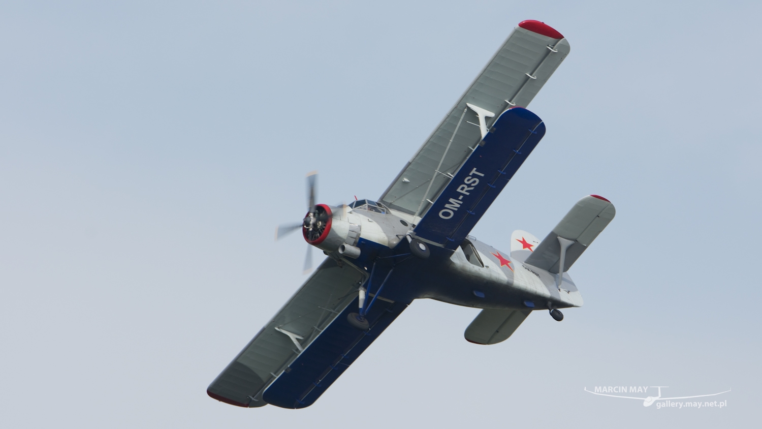 piknik-krakow-2016_zdj-146-DSC_0363