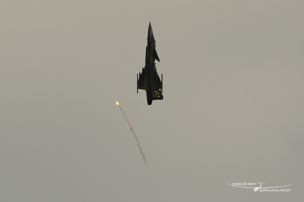 Nato-Days-2014-zdj033-DSC_1393