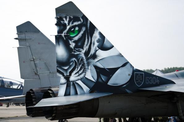 Nato-Days-2014-zdj082-DSC_9269