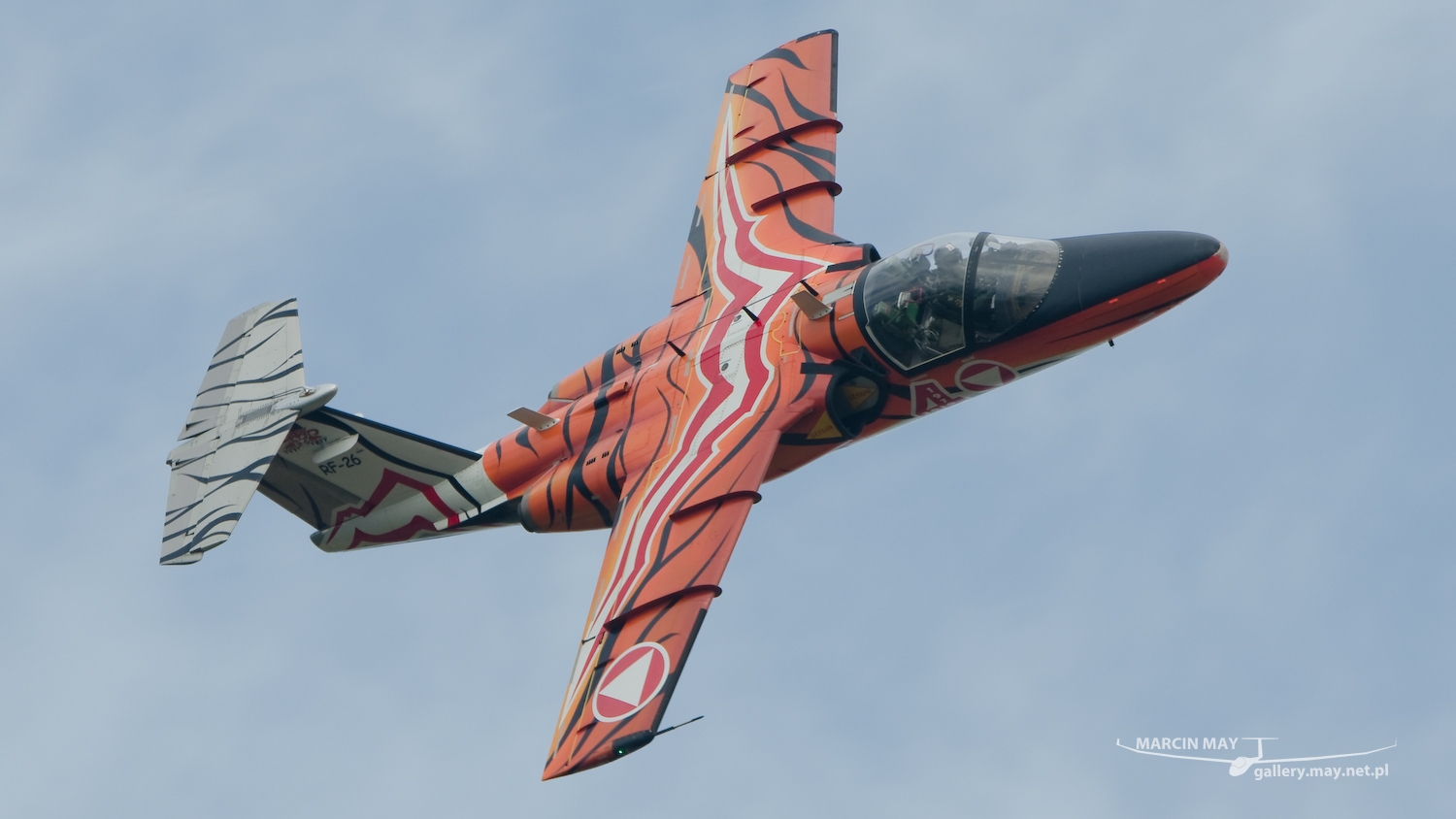 nato-days-2015_zdj-028-DSC_3511