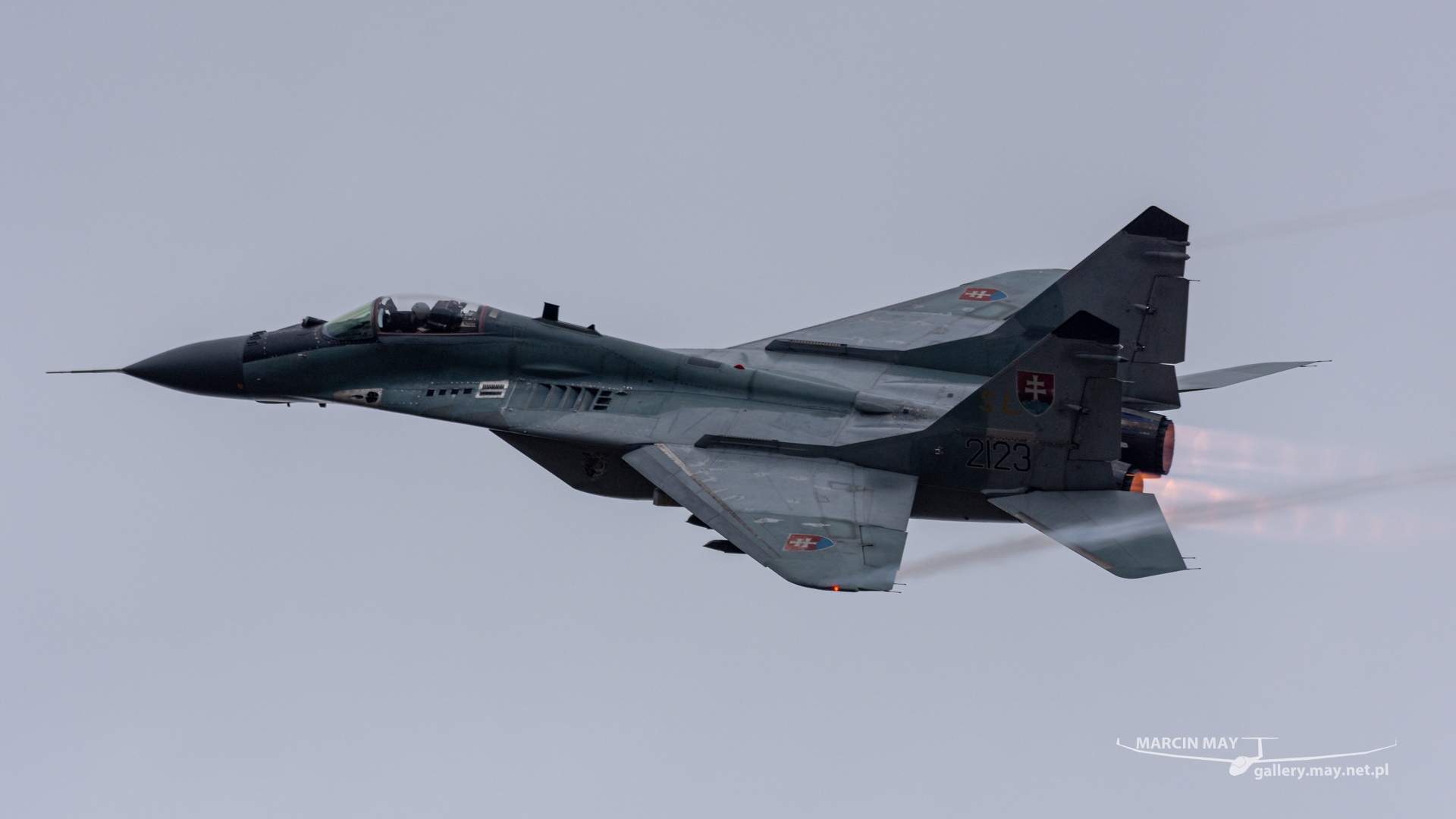 NATO_Days_2021-zdj062-DSC_3270