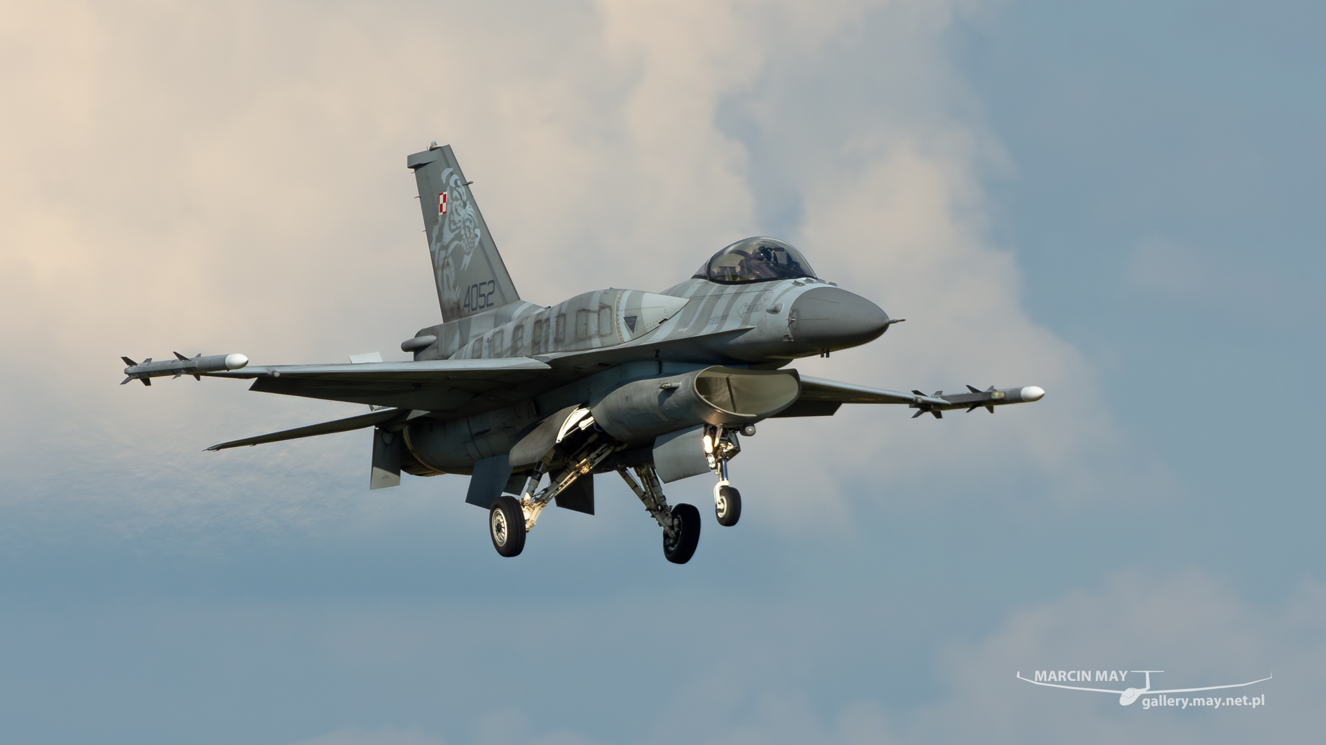 NATO_Days_2023_zdj110-DSC_7015