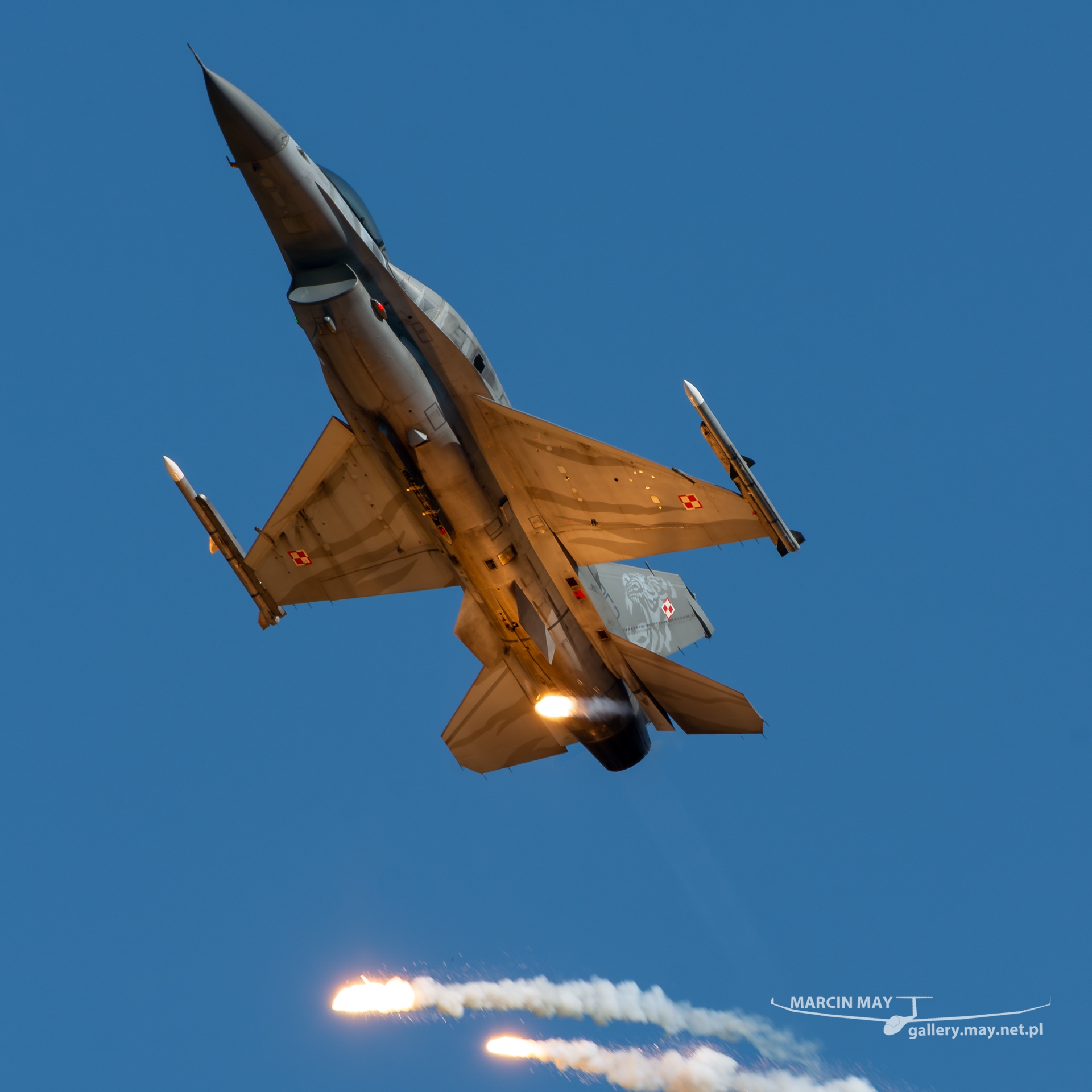 NATO_Days_2023_zdj136-DSC_9673