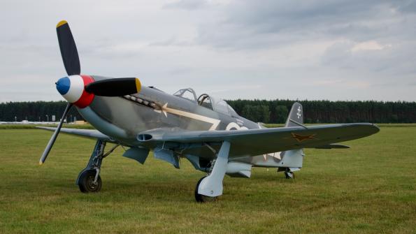 piknik-leszno-2016_zdj-001-DSC_1157