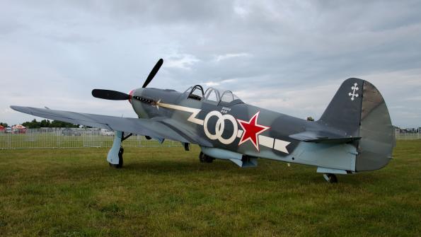 piknik-leszno-2016_zdj-003-DSC_1163