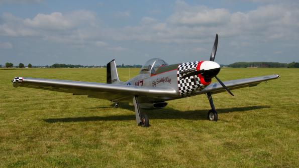 piknik-leszno-2016_zdj-013-DSC_1274