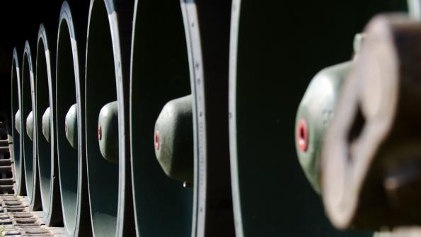 piknik-leszno-2016_zdj-014-DSC_1282a