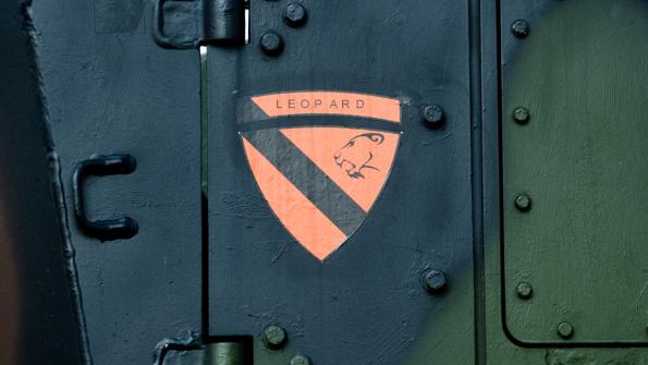 piknik-leszno-2016_zdj-016-DSC_1289