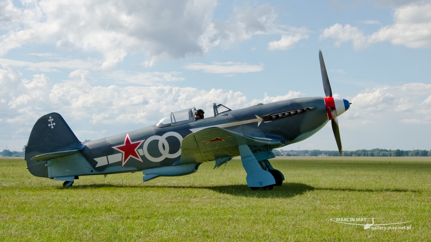 piknik-leszno-2016_zdj-044-DSC_1591