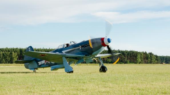 piknik-leszno-2016_zdj-046-DSC_1654
