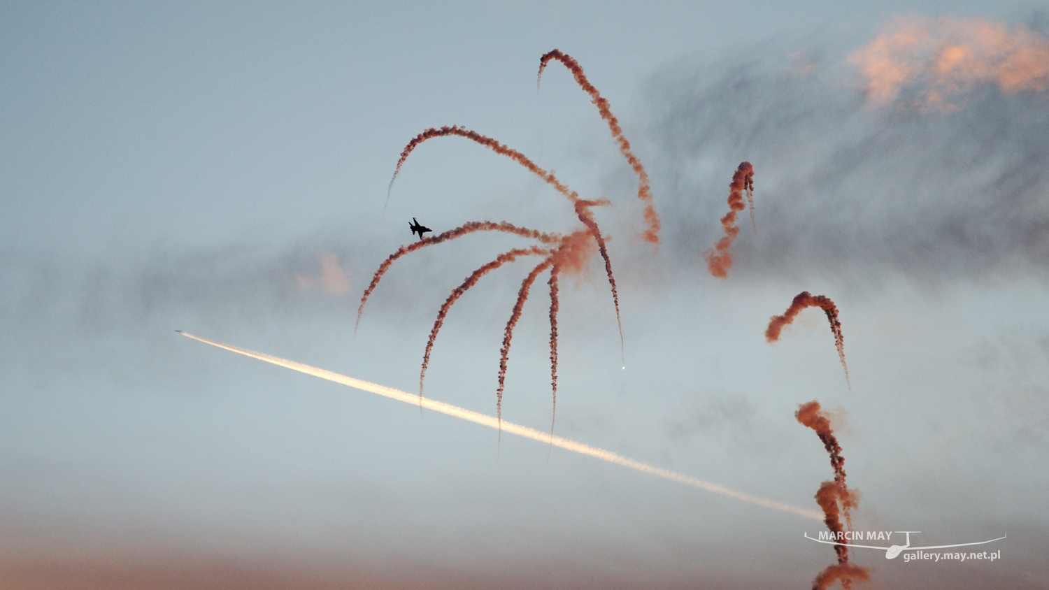 piknik-leszno-2016_zdj-047-DSC_1740