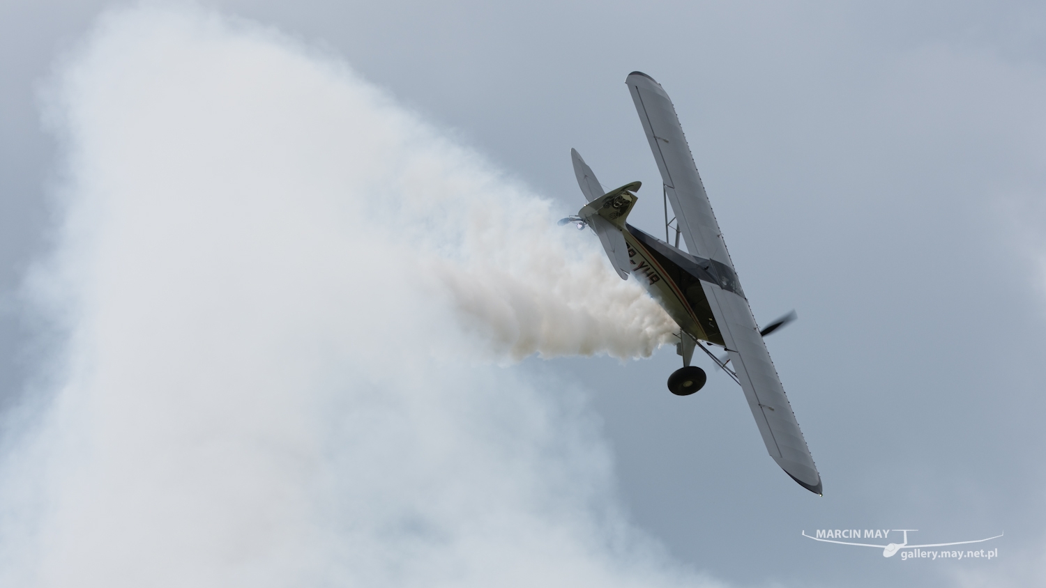 piknik-leszno-2016_zdj-067-DSC_1492
