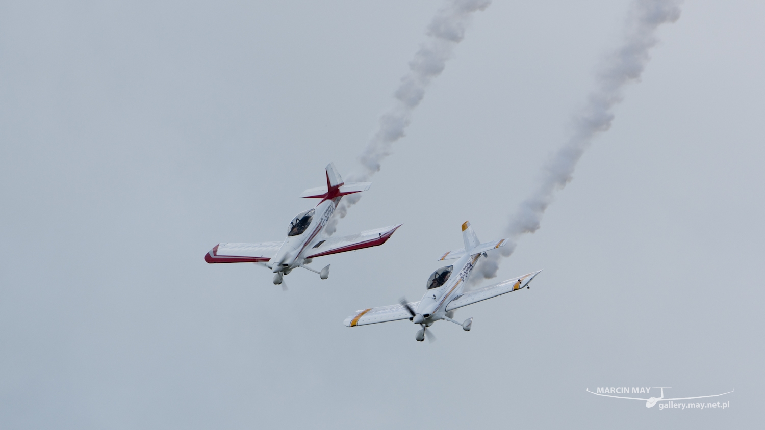 piknik-leszno-2016_zdj-086-DSC_1748