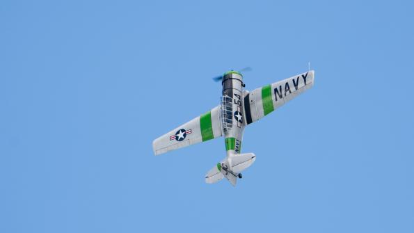 piknik-leszno-2016_zdj-103-DSC_1966