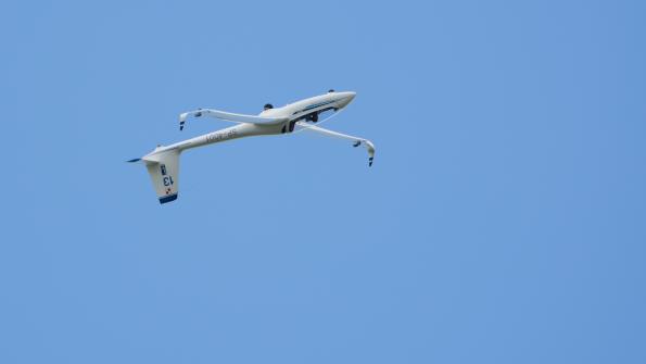 piknik-leszno-2016_zdj-127-DSC_2342