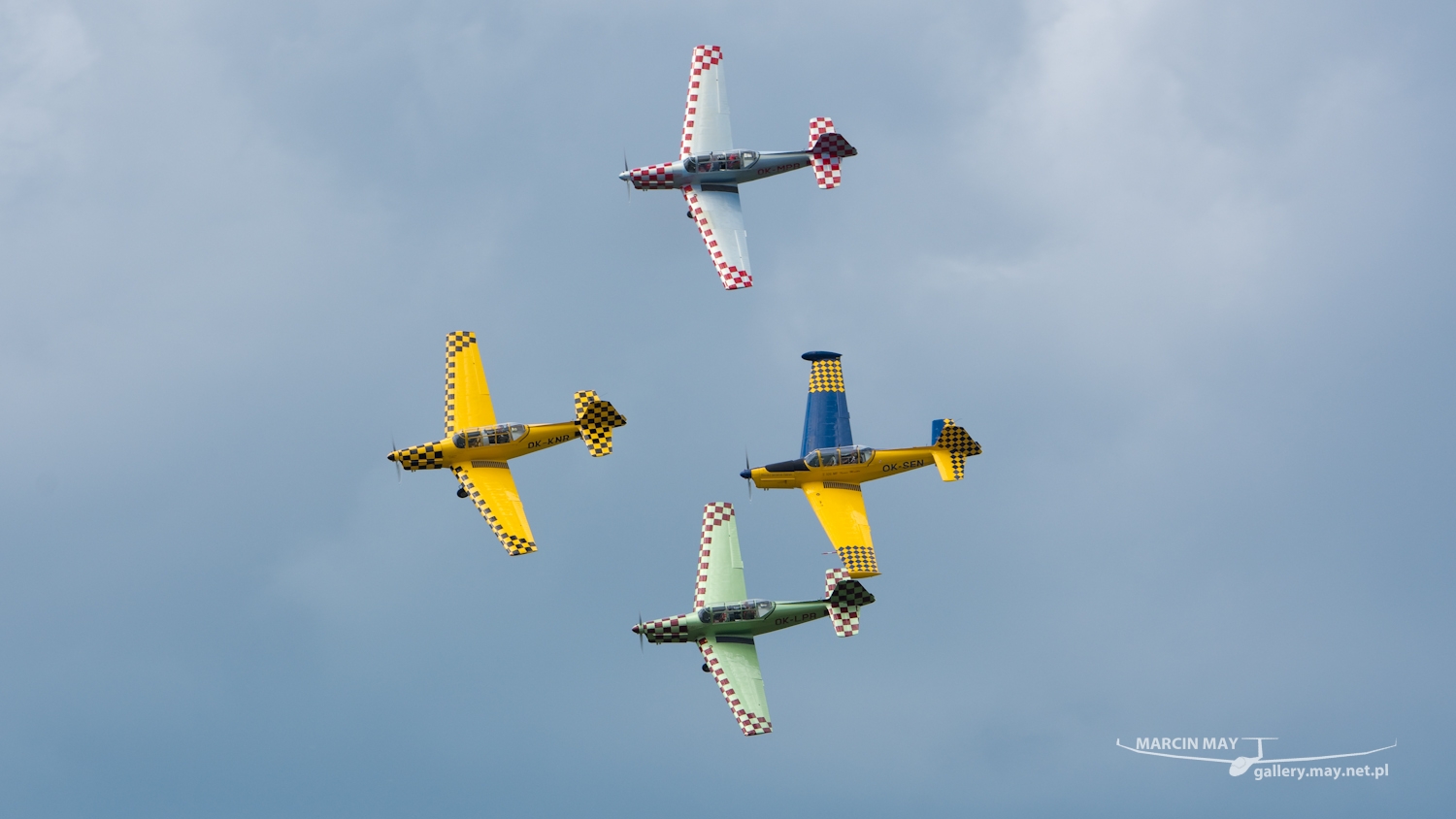 piknik-leszno-2016_zdj-131-DSC_2404