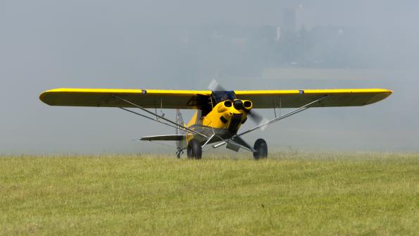 piknik-leszno-2016_zdj-155-DSC_2706