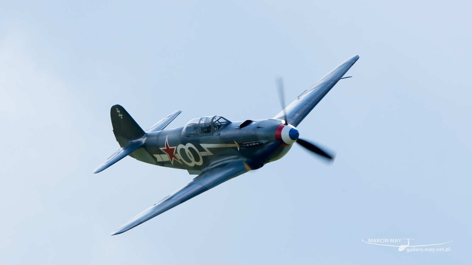 piknik-leszno-2016_zdj-156-DSC_2709