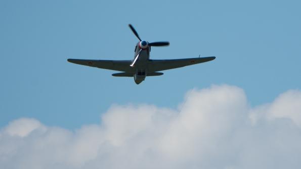 piknik-leszno-2016_zdj-162-DSC_2865