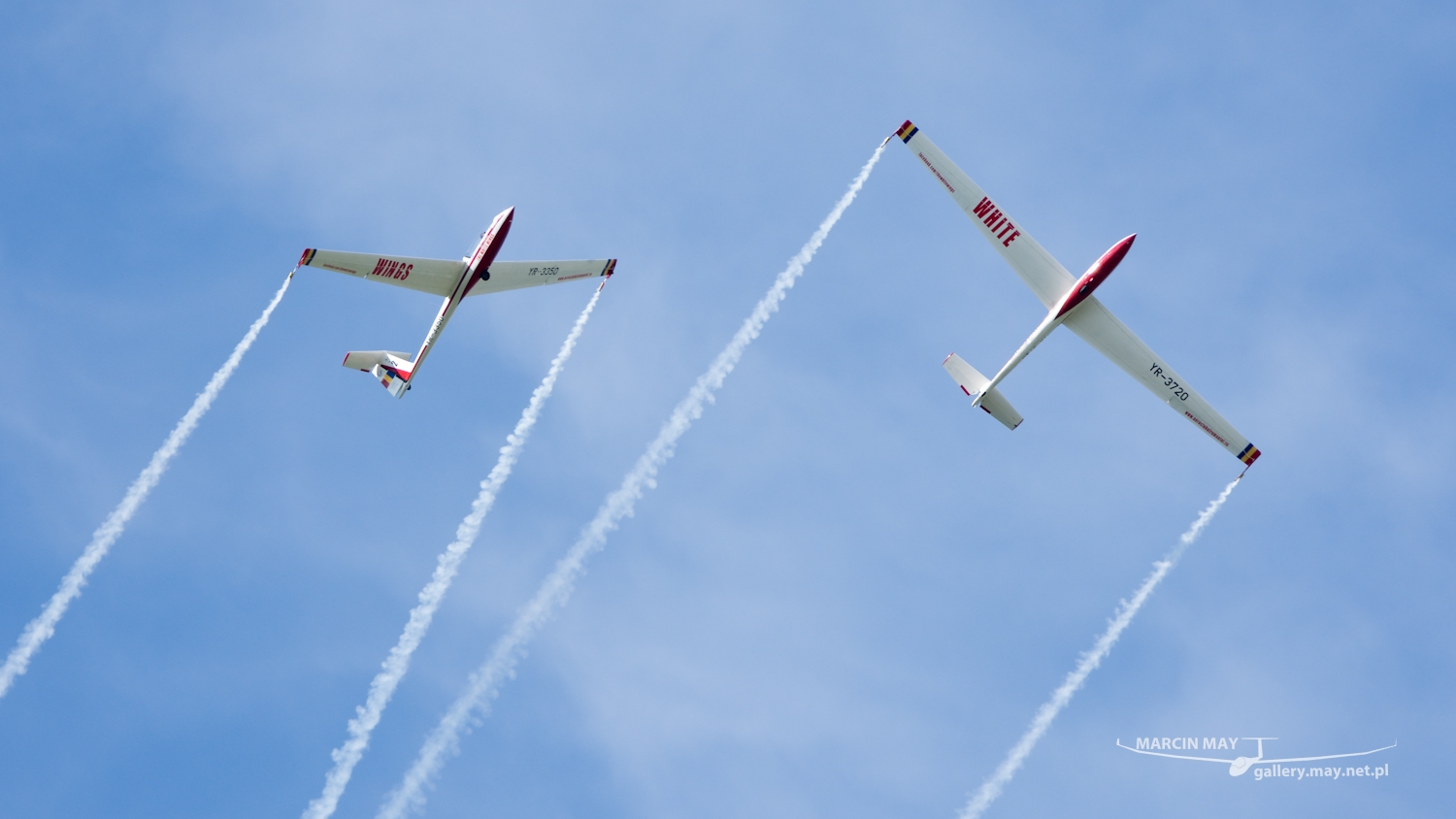 piknik-leszno-2016_zdj-178-DSC_3130