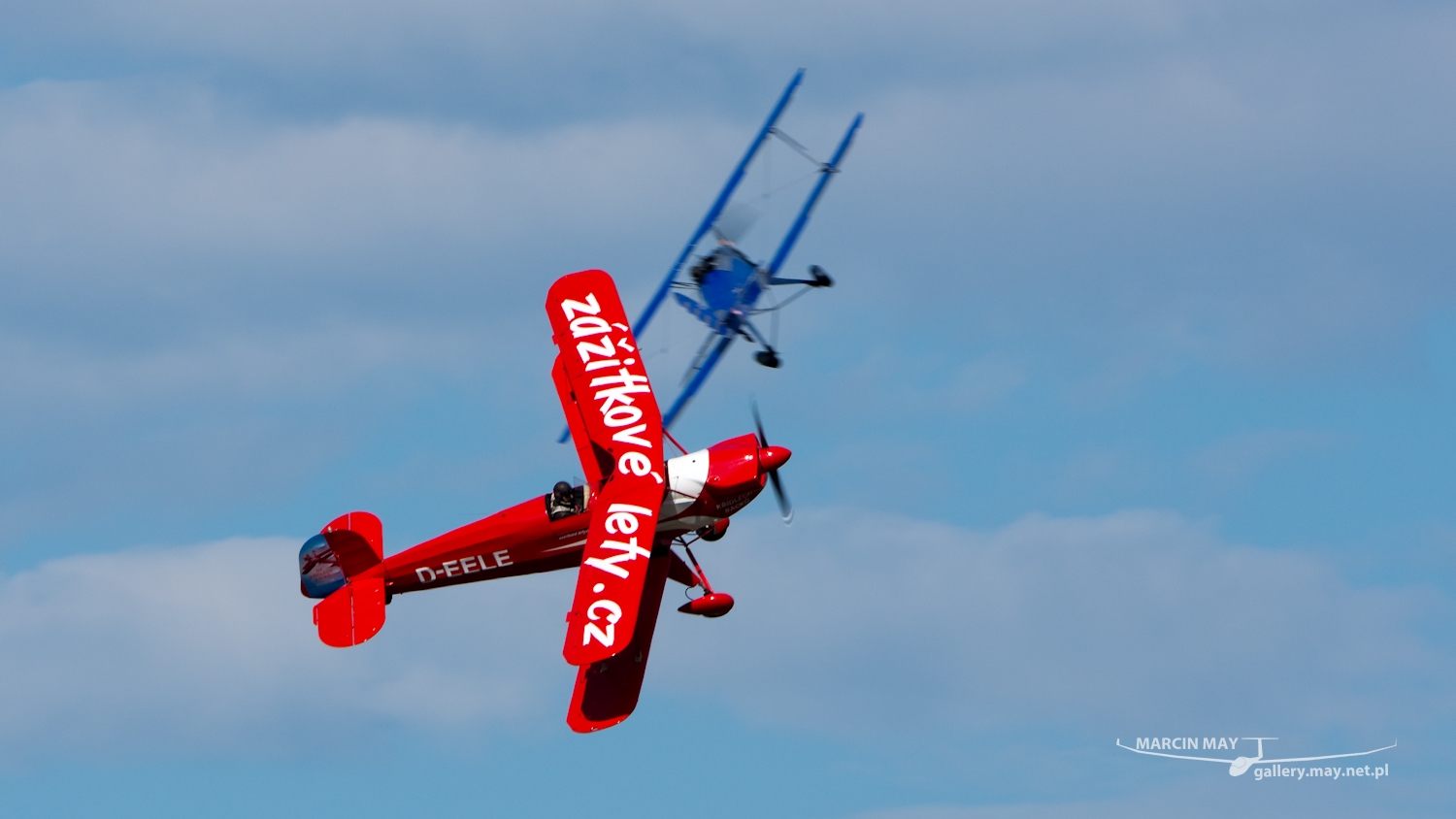 piknik-leszno-2016_zdj-189-DSC_3324