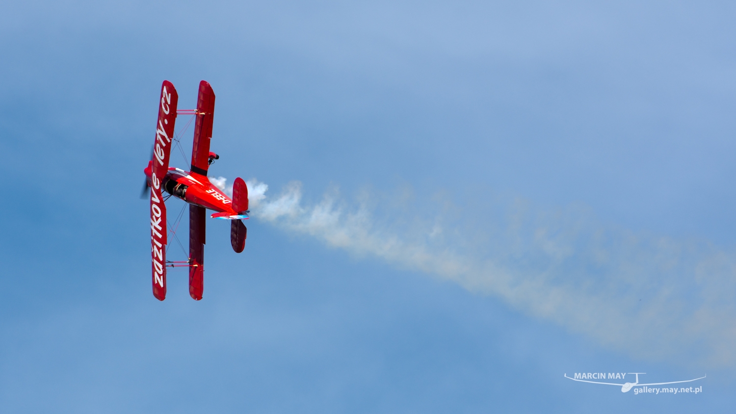 piknik-leszno-2016_zdj-201-DSC_3467