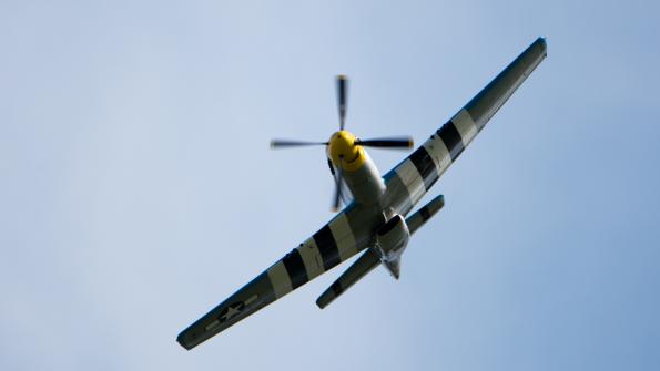 piknik-leszno-2016_zdj-206-DSC_3576