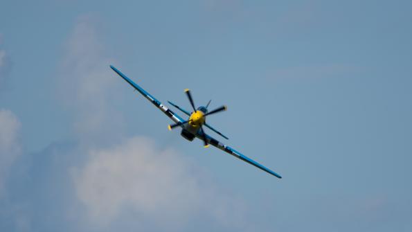 piknik-leszno-2016_zdj-207-DSC_3602