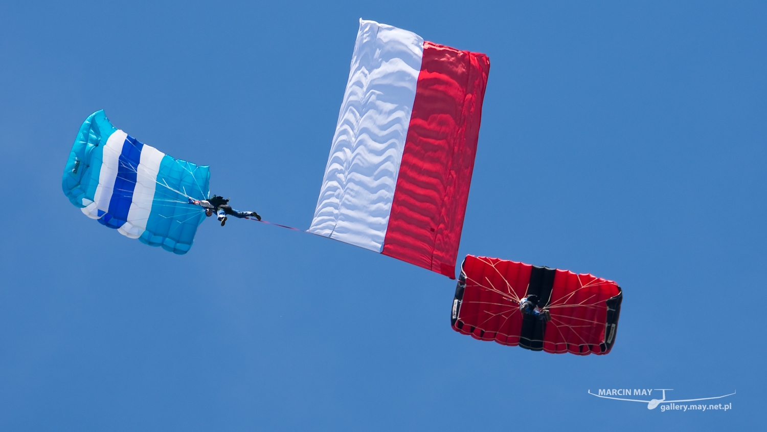 piknik-leszno-2016_zdj-218-DSC_3736