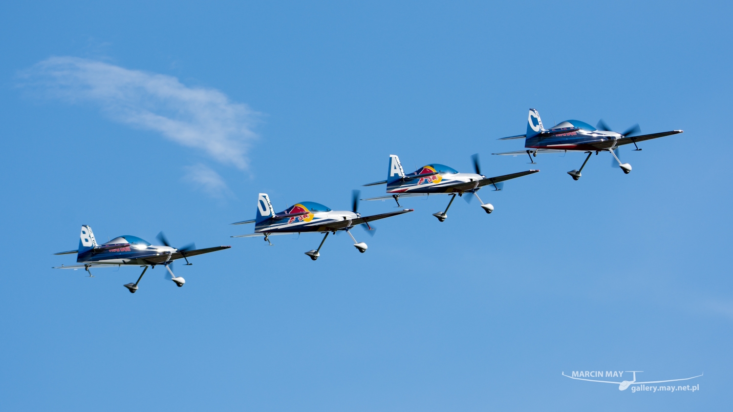 piknik-leszno-2016_zdj-223-DSC_3778