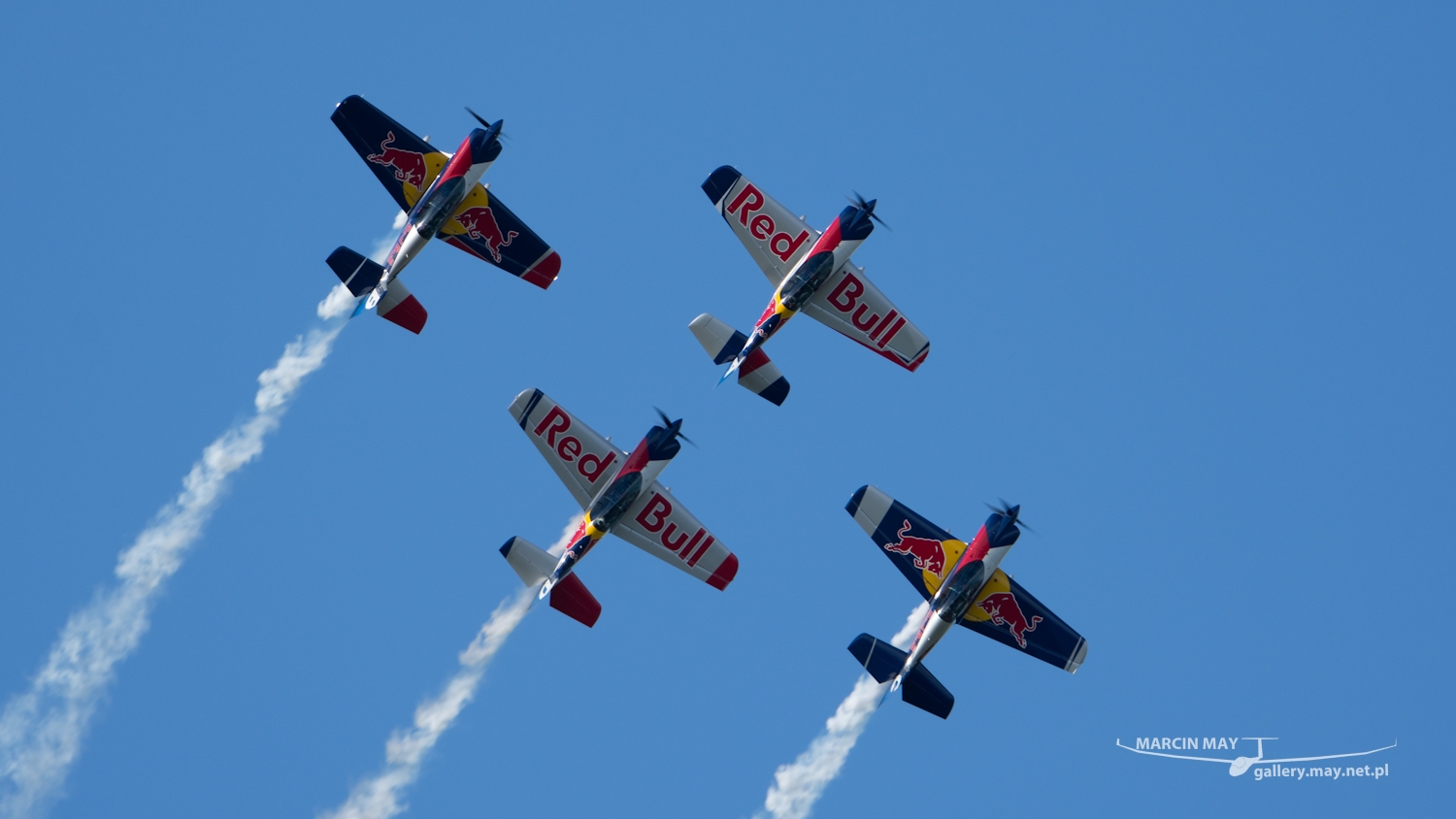 piknik-leszno-2016_zdj-228-DSC_3846