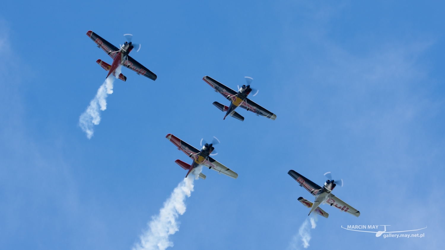 piknik-leszno-2016_zdj-235-DSC_3936