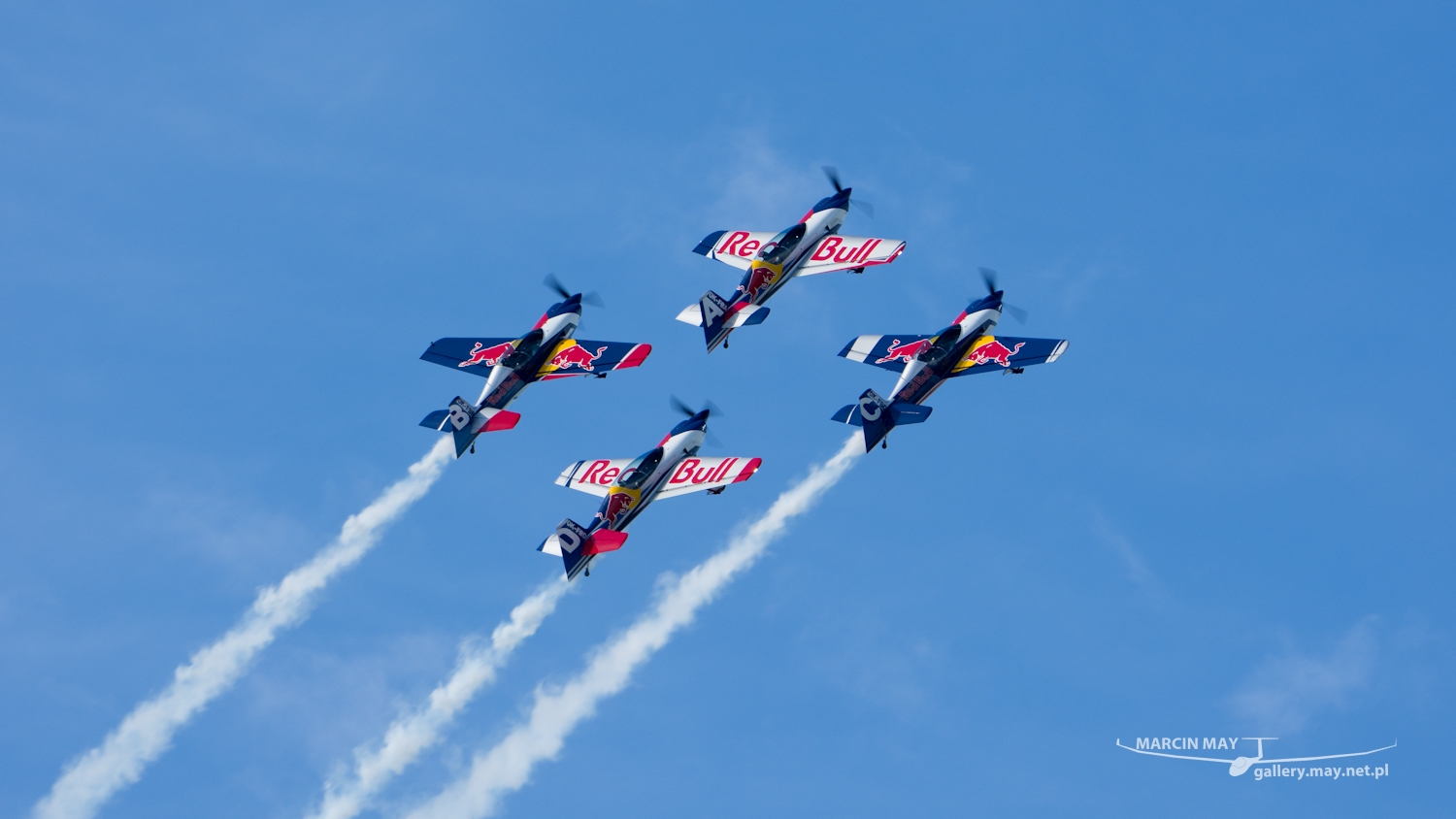piknik-leszno-2016_zdj-240-DSC_3998