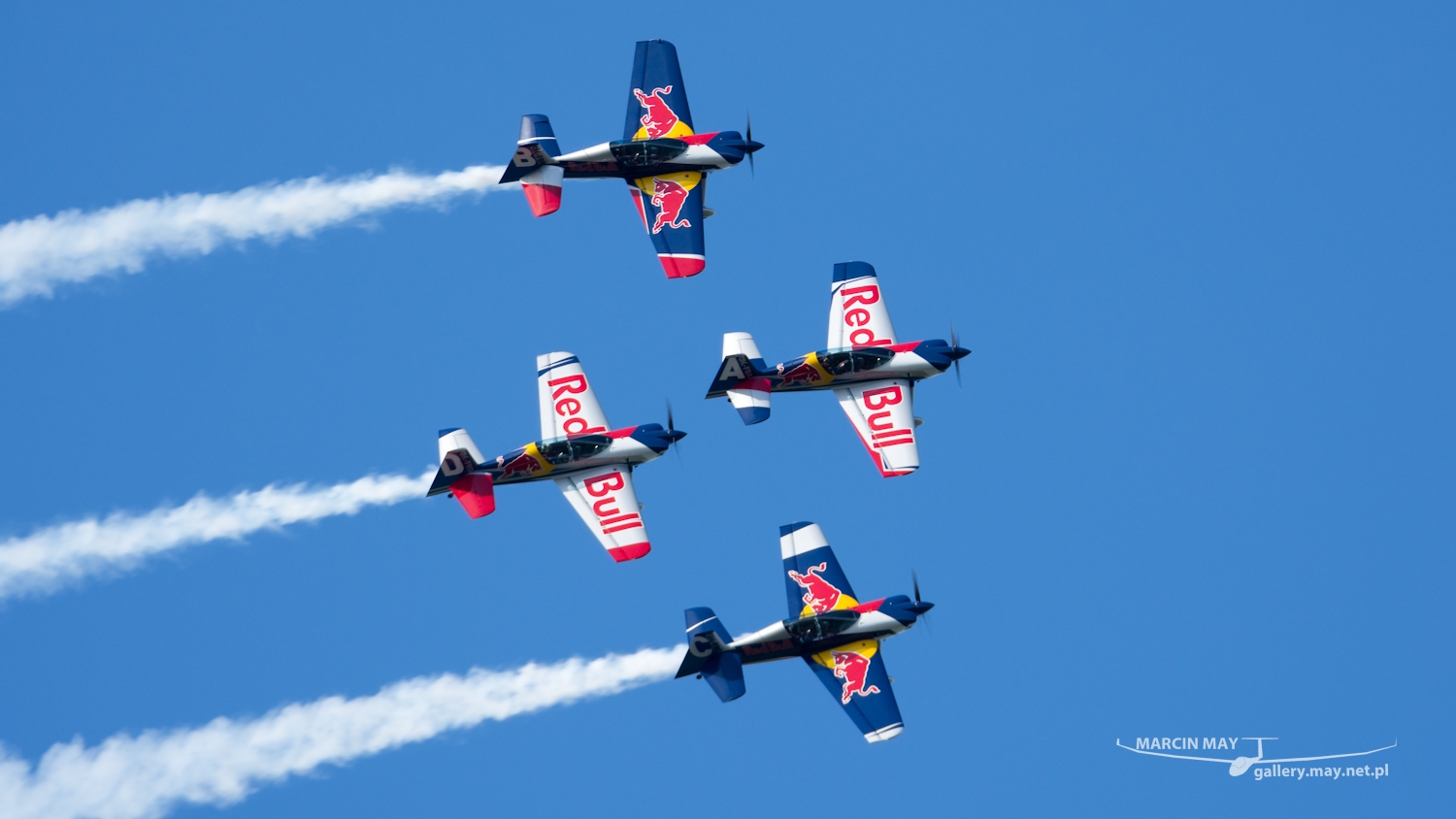 piknik-leszno-2016_zdj-241-DSC_4005