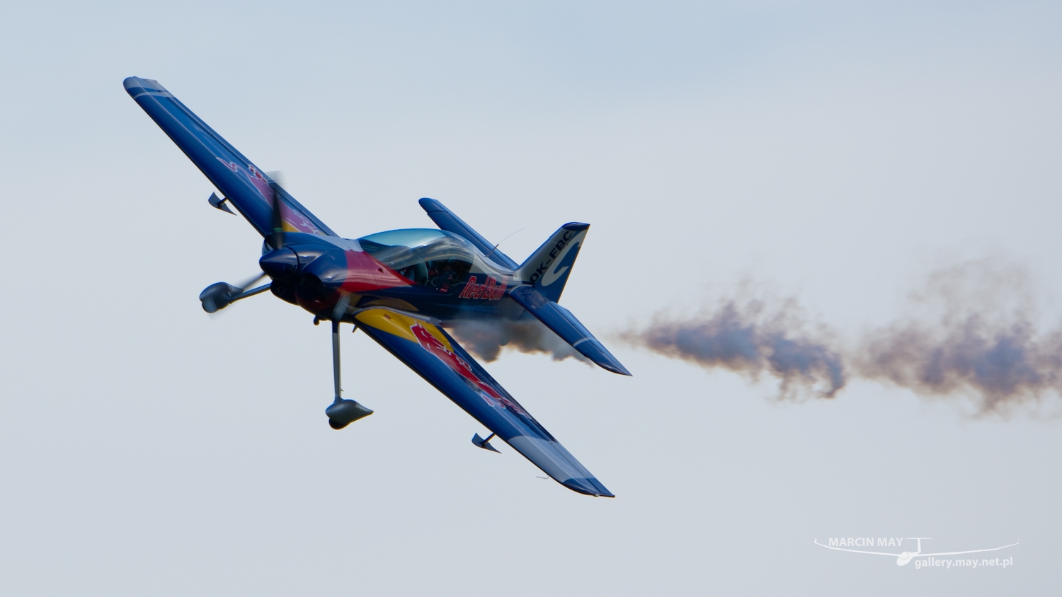 piknik-leszno-2016_zdj-247-DSC_4141