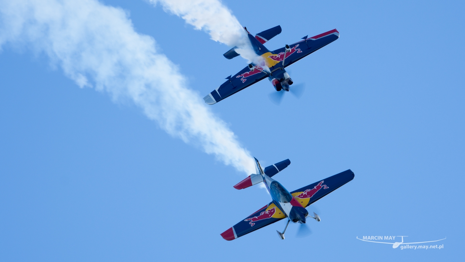piknik-leszno-2016_zdj-250-DSC_4168