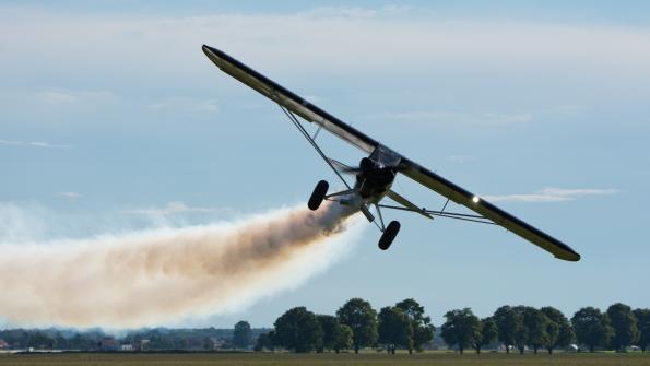 piknik-leszno-2016_zdj-264-DSC_4451